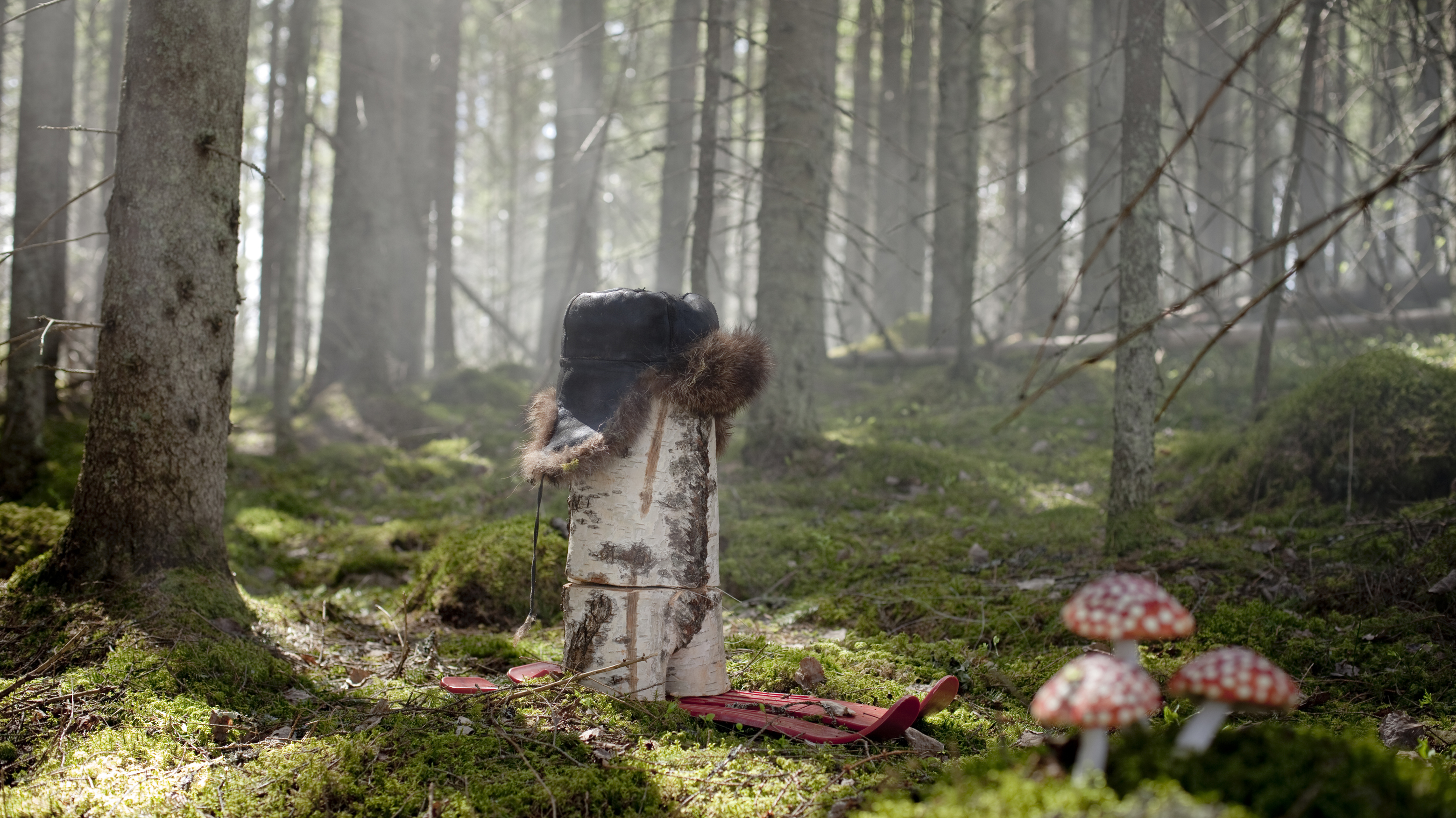 Maarit Suomi-Väänänen: Log Head (2015)