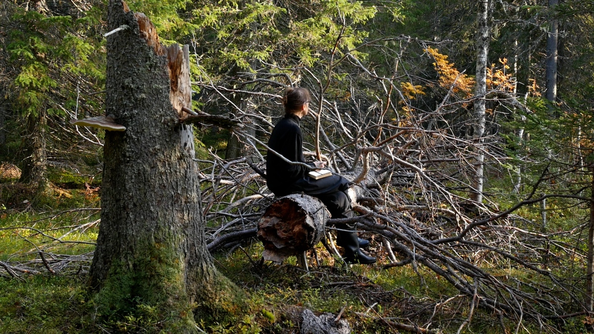 Annette Arlander: Dear Deceased (2022)