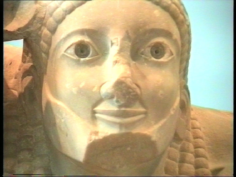 Denise Ziegler: Amused (2000)