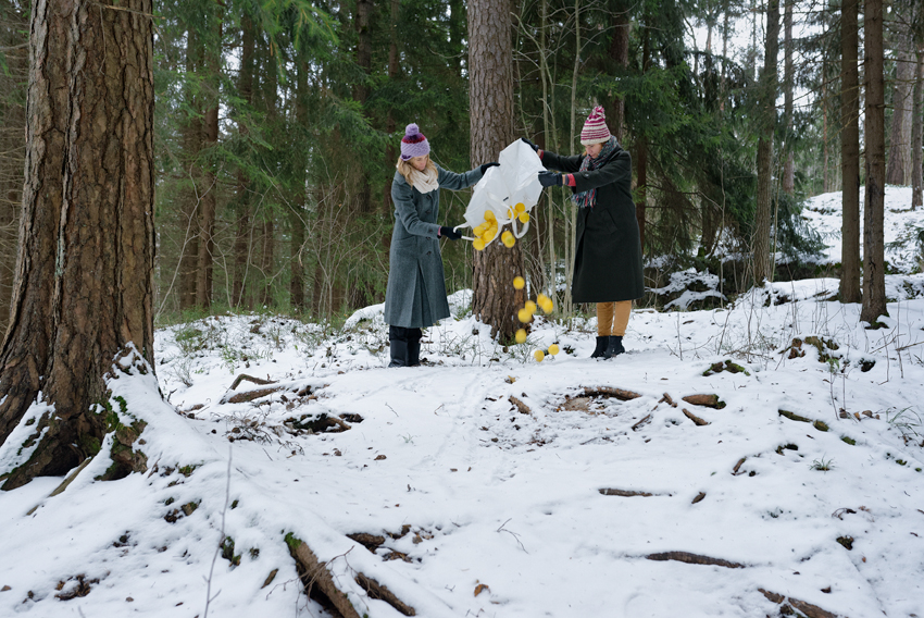 Elina Brotherus: Dump a bushel of lemons in a northern forest in winter (2017)