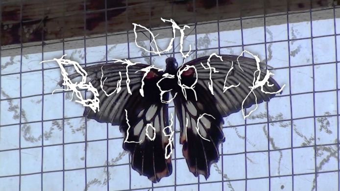 On Butterfly Logic
